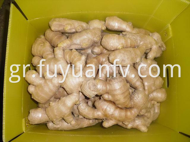 air dried ginger (99)